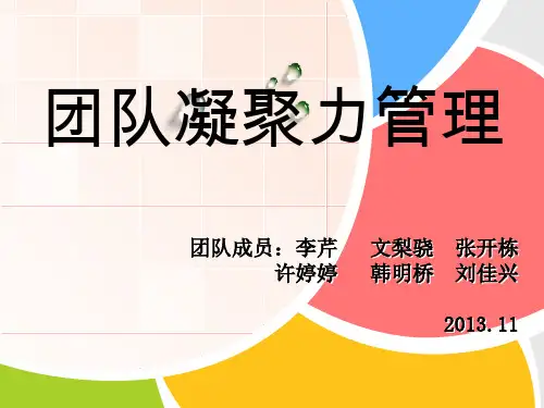 团队凝聚力的管理