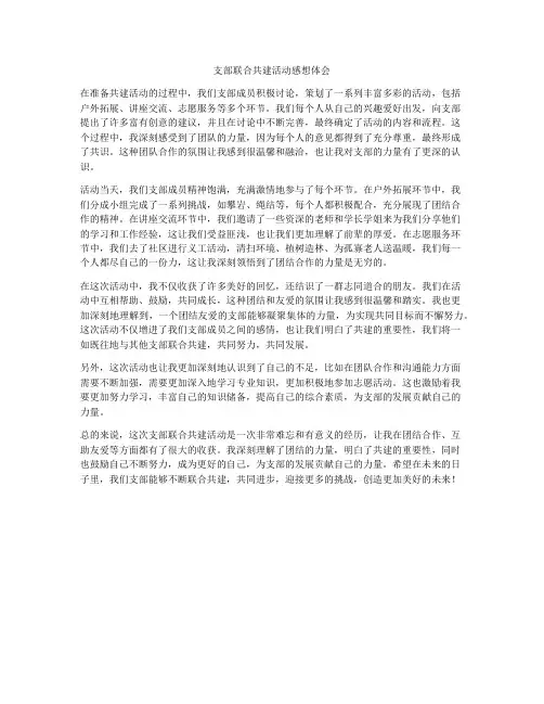 支部联合共建活动感想体会