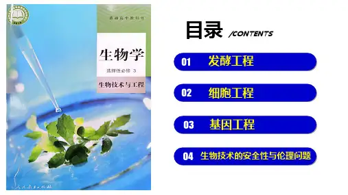 【课件】传统的发酵技术的应用课件高二下学期生物人教版选择性必修3