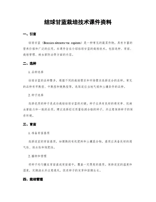 结球甘蓝栽培技术课件资料