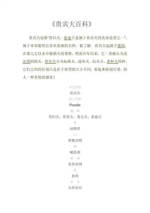 贵宾犬资料大全