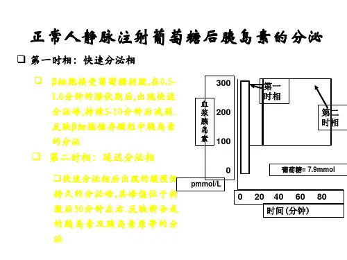 P3胰岛素强化治疗new-PPT文档
