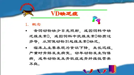 动物内科病01-维生素D的缺乏_44