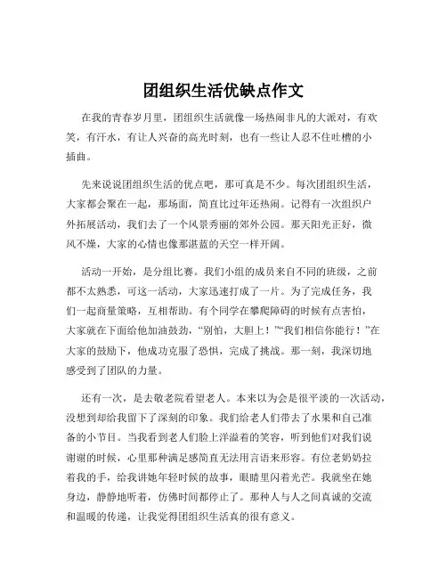 团组织生活优缺点作文