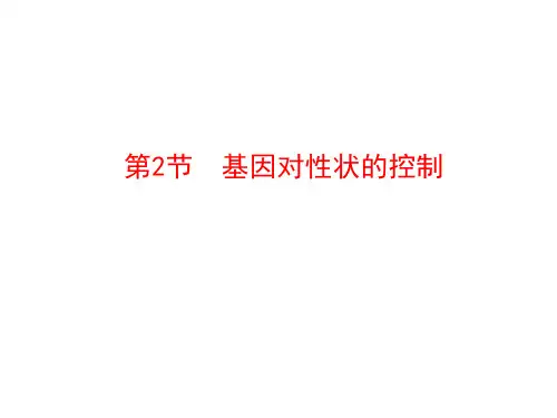 2020-2021学年高中生物必修二人教版课件：第4章 第2节 基因对性状的控制