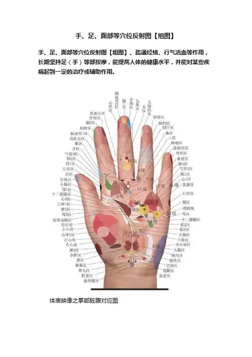 手、足、面部等穴位反射图【组图】