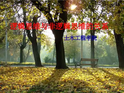 逻辑思维与非逻辑思维