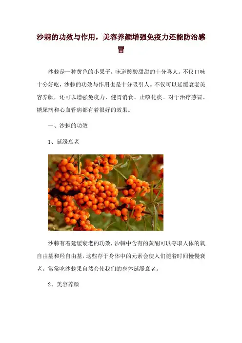 沙棘的功效与作用,美容养颜增强免疫力还能防治感冒
