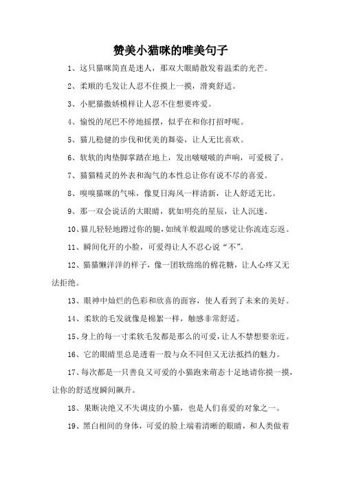 赞美小猫咪的唯美句子