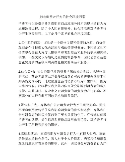 影响消费者行为的社会环境因素