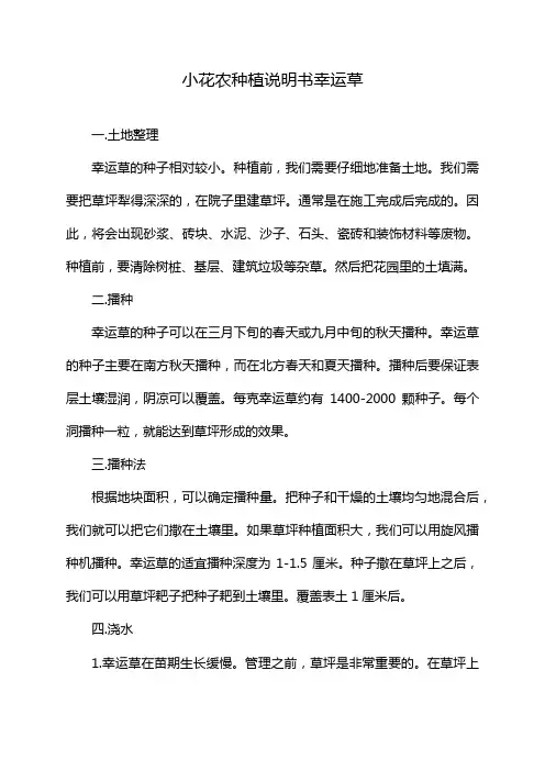 小花农种植说明书幸运草