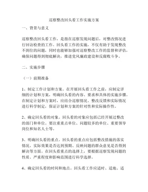 巡察整改回头看工作实施方案