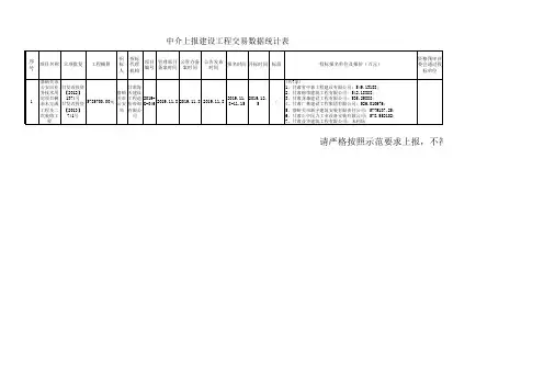 建设工程发中标公示用表单标段模板_