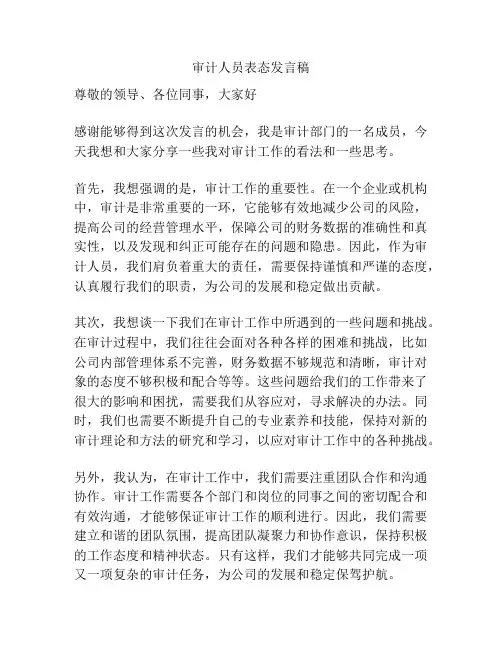 审计人员表态发言稿