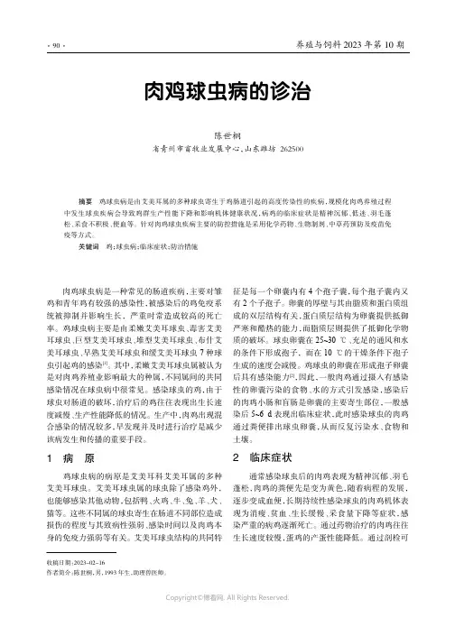 肉鸡球虫病的诊治