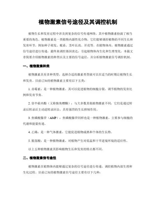 植物激素信号途径及其调控机制