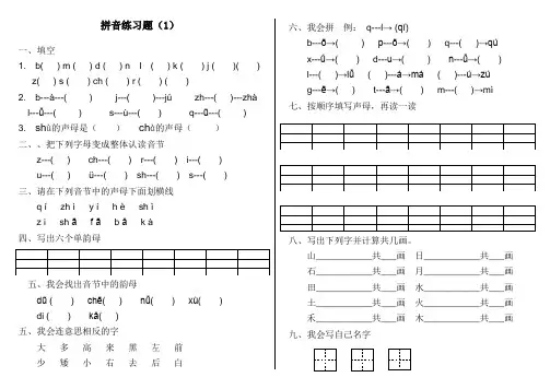 幼儿园大班拼音练习题
