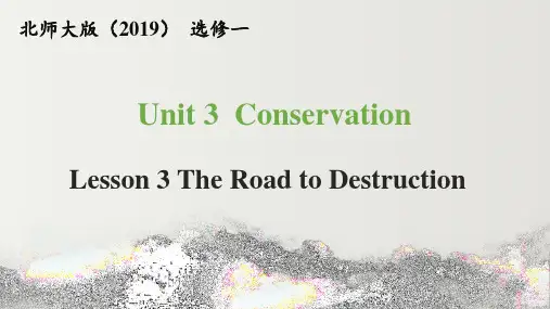 高中英语北师大版选修一(2019)Unit 3 Lesson 3(课件)