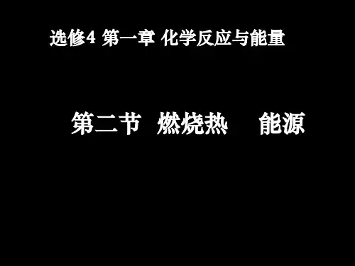 1-2燃烧热-能源 优秀课件(人教版选修4)