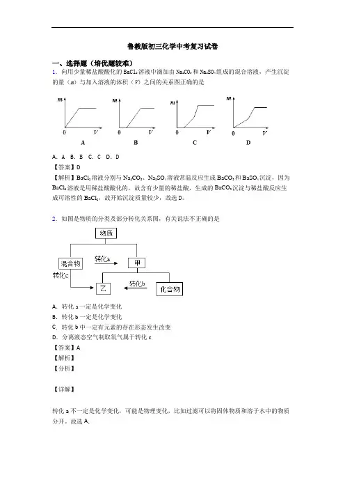 鲁教版初三化学中考复习试卷