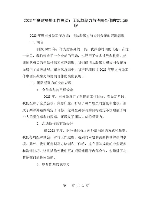 2023年度财务处工作总结：团队凝聚力与协同合作的突出表现