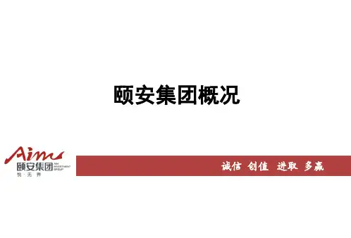 颐安集团概况