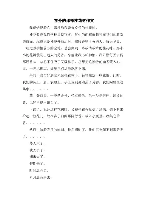 窗外的那棵桂花树作文