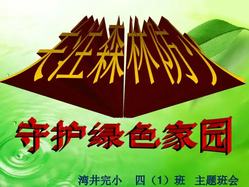森林防火 安全教育 主题班会ppt课件