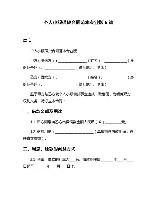 个人小额借贷合同范本专业版6篇