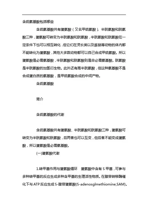 含硫氨基酸包括哪些