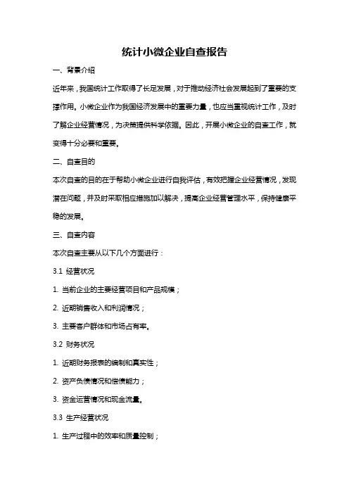 统计小微企业自查报告