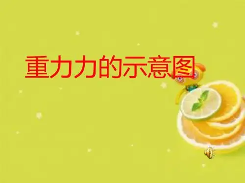 重力、力的示意图ppt3 苏科版