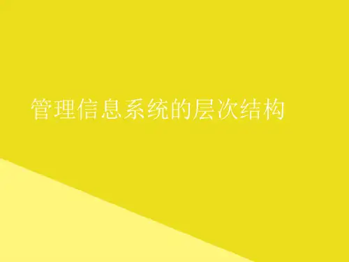 管理信息系统的层次结构PPT资料(正式版)