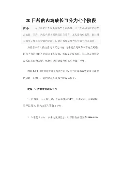 20日龄的肉鸡成长可分为七个阶段