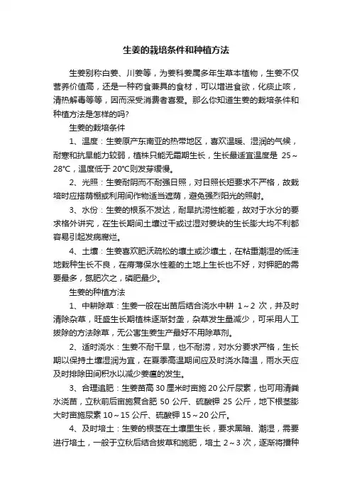 生姜的栽培条件和种植方法