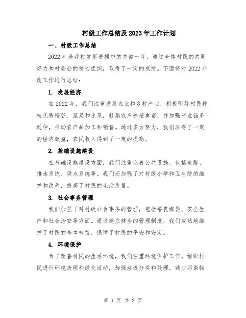 村级工作总结及2023年工作计划