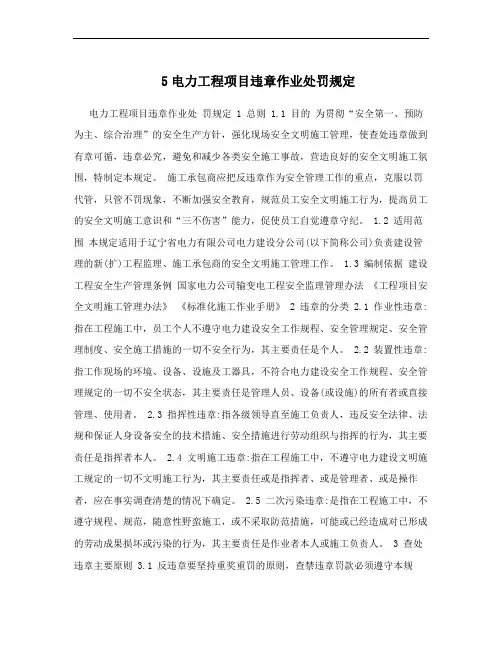 5电力工程项目违章作业处罚规定