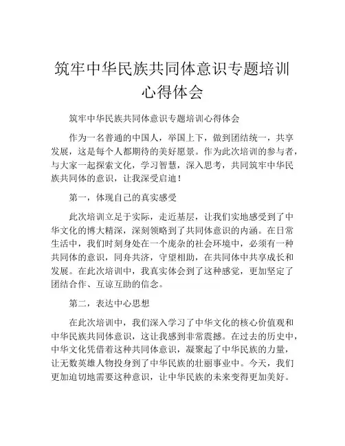 筑牢中华民族共同体意识专题培训心得体会