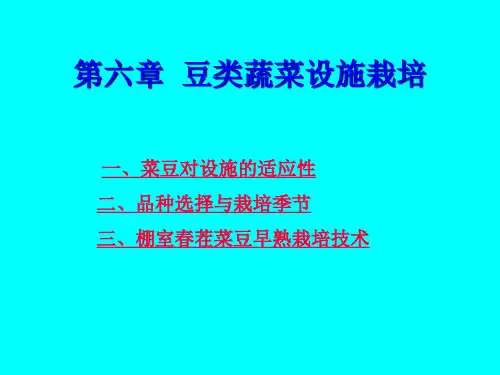 豆类蔬菜设施栽培技术