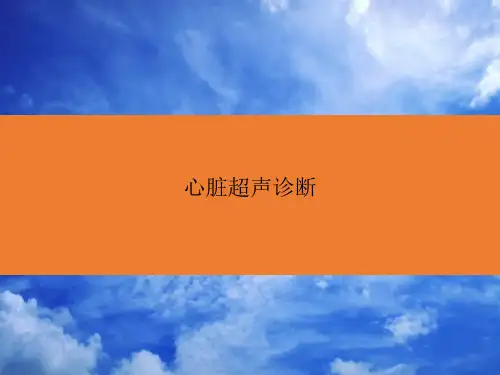 心脏超声诊断