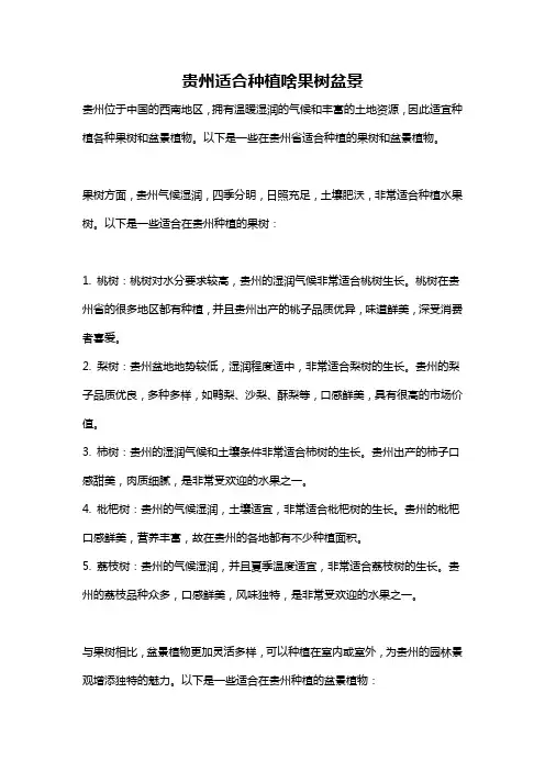 贵州适合种植啥果树盆景