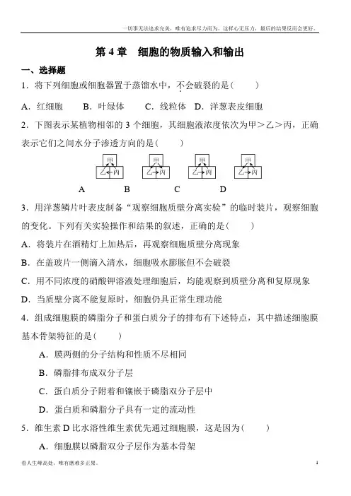 (新)高中生物必修一第四章练习及答案