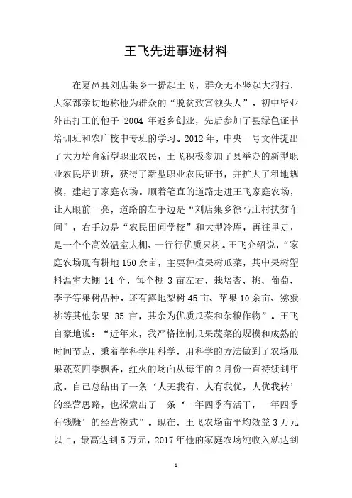 王飞先进事迹材料