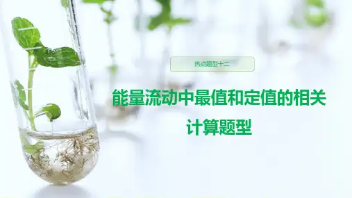 高中生物热点题型(能量流动中最值和定值的相关计算题型)课件