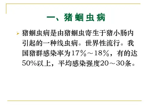 【宠物寄生虫PPT】  其他线虫病