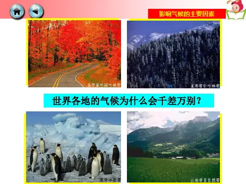 初中地理七年级上册第四章第三节 影响气候的主要因素