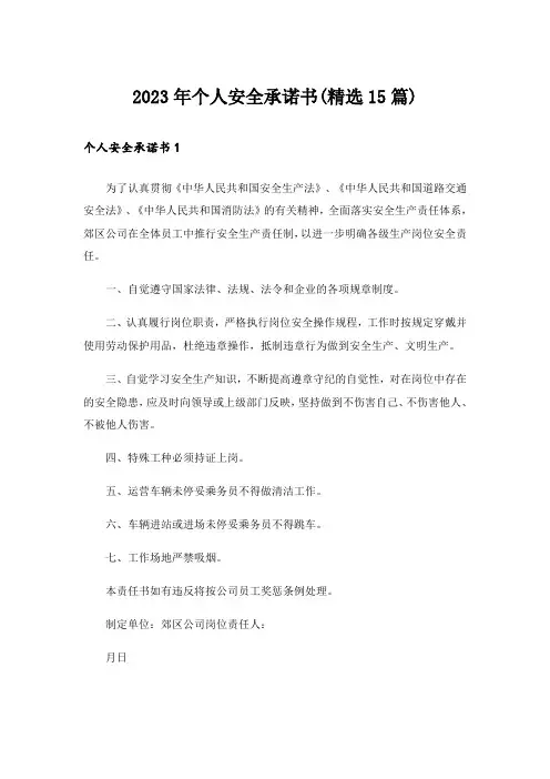 2023年个人安全承诺书(精选15篇)