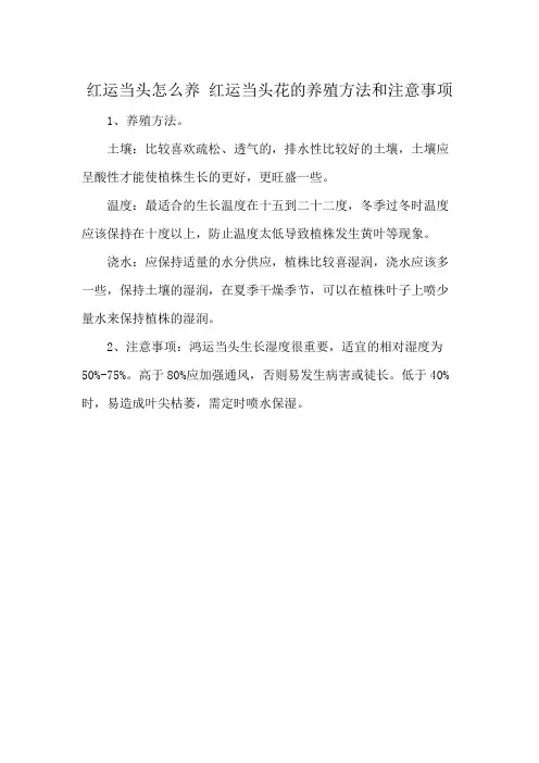 红运当头怎么养 红运当头花的养殖方法和注意事项