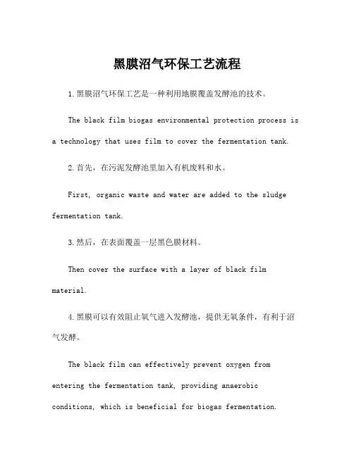 黑膜沼气环保工艺流程