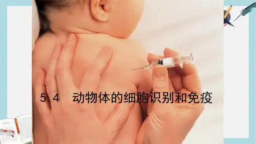 沪科版高中生命科学第二册5.4《动物体的细胞识别和免疫》ppt课件2